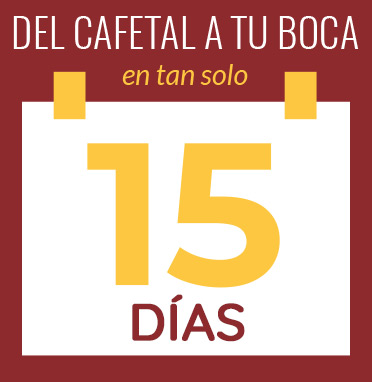 Calendario de 15 días